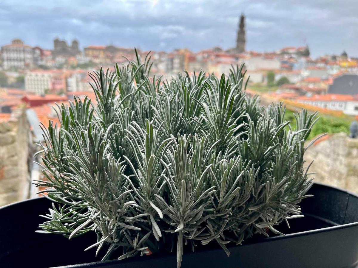 Urban Apartment Casa Da Portela Πόρτο Εξωτερικό φωτογραφία