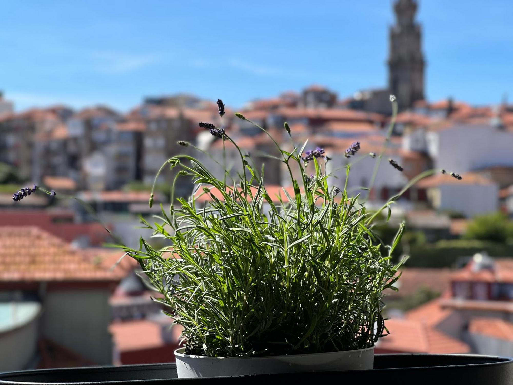 Urban Apartment Casa Da Portela Πόρτο Εξωτερικό φωτογραφία